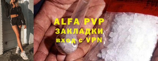 дурь Сясьстрой