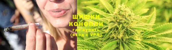 дурь Майский