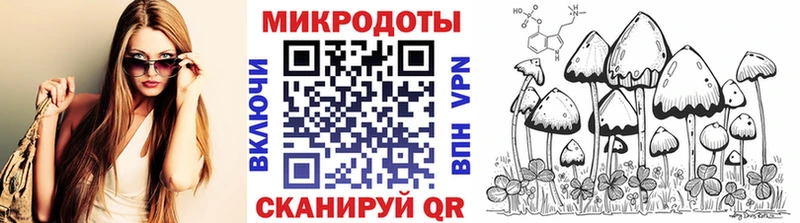 даркнет наркотические препараты  Фокино  Псилоцибиновые грибы MAGIC MUSHROOMS 