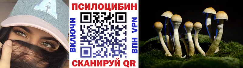 Галлюциногенные грибы Psilocybe Фокино