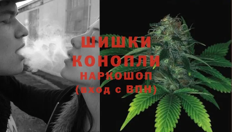 Конопля индика  хочу наркоту  Фокино 